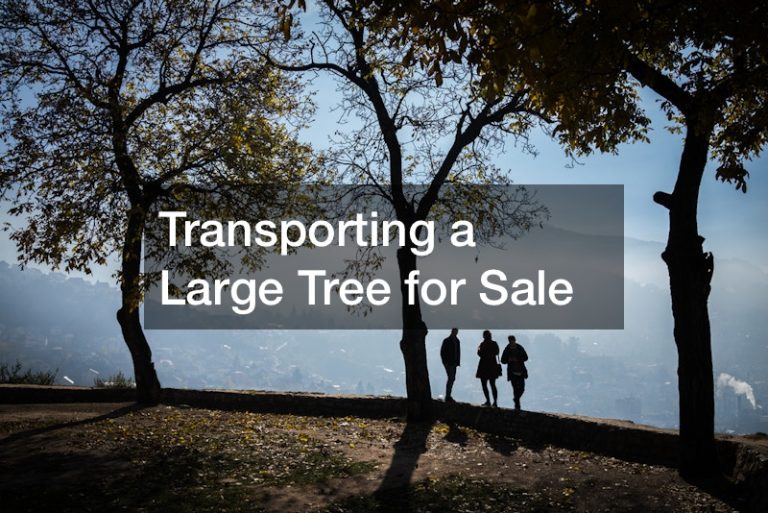 Transporting A Large Tree For Sale Industrial And Manufacturing Insights