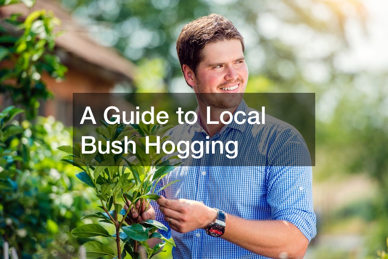 A Guide to Local Bush Hogging