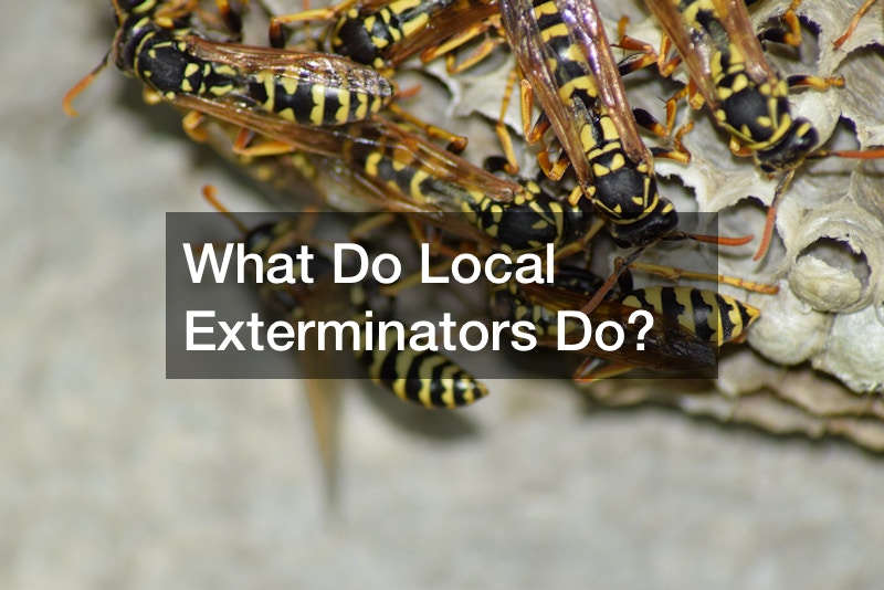 What Do Local Exterminators Do?