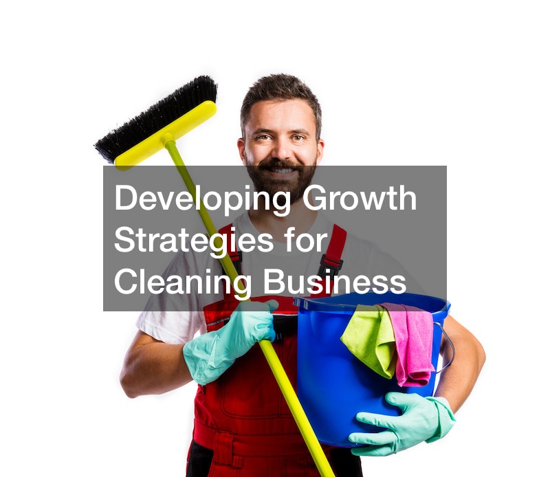 Developing Growth Strategies for Cleaning Business