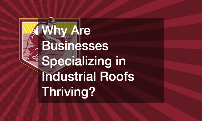 Why Are Businesses Specializing in Industrial Roofs Thriving?