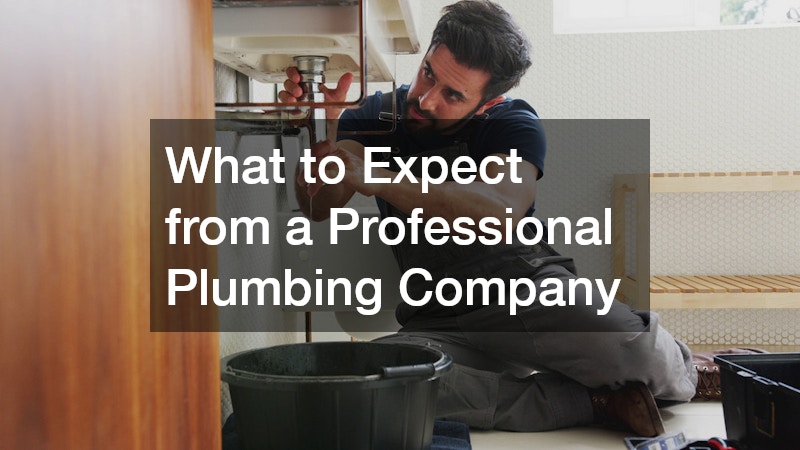 What to Expect from a Professional Plumbing Company